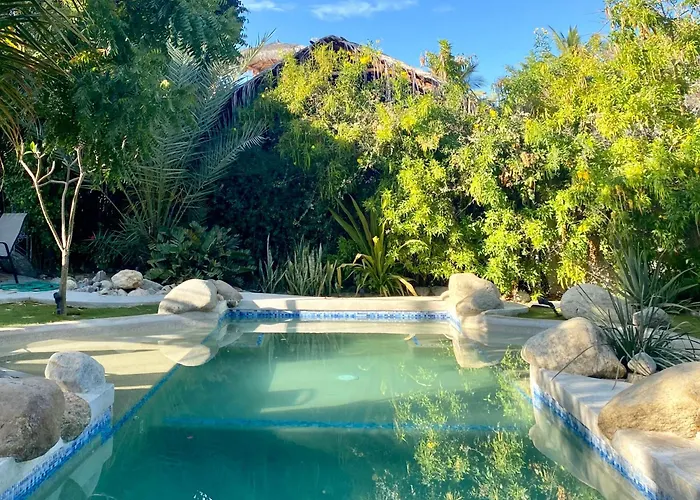 Tropical Oasis